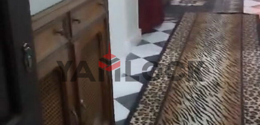 شقه مفروش للايجار مفروش في فكتوريا الاسكندريه