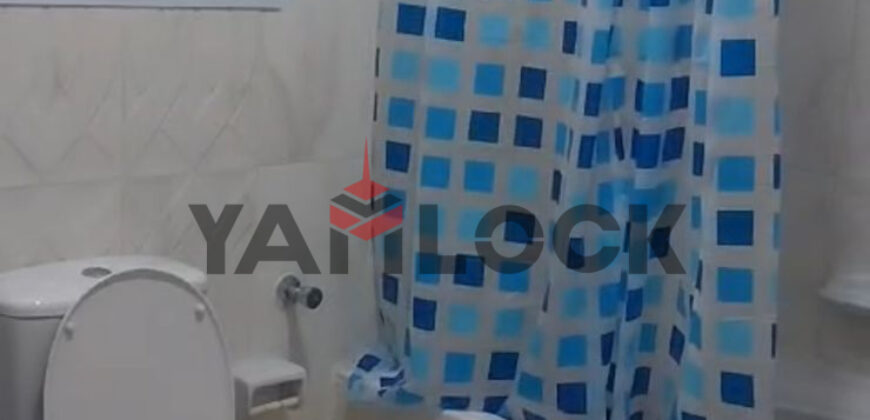 شقه مفروش للايجار مفروش في فكتوريا الاسكندريه