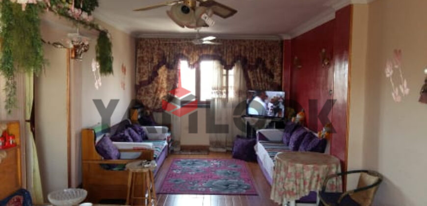 شقه للبيع الشيخ زايد84م الحي11