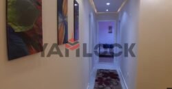 شقه للايجار المفروش دار مصر القرنفل 130م شقه للايجار المفروش دار مصر القرنفل 130م