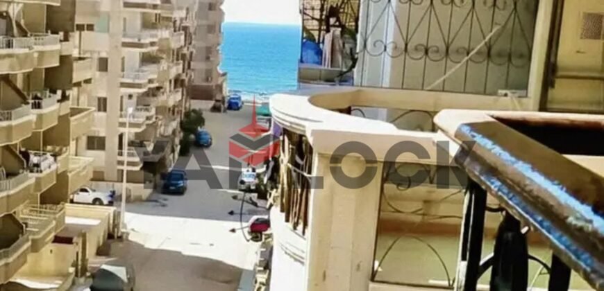 شقه للبيع في قريه النخيل العجمي شقه للبيع في قريه النخيل العجمي