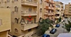 شقه للبيع 145م الحي الثالث المجاوره السابعه بالقرب من معهد التكنولوجيا ومحور الكفراوي شقه للبيع 145م الحي الثالث المجاوره السابعه بالقرب من معهد التكنولوجيا ومحور الكفراوي