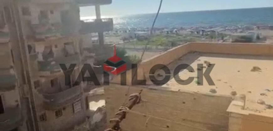 شقه للبيع في منطقه الزراعيين 75م في الاسكندريه شقه للبيع في منطقه الزراعيين 75م في الاسكندريه