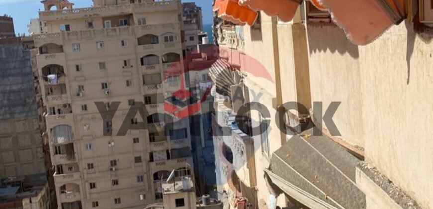 شقه للبيع في المندره الاسكندريه 120م شقه للبيع في المندره الاسكندريه 120م