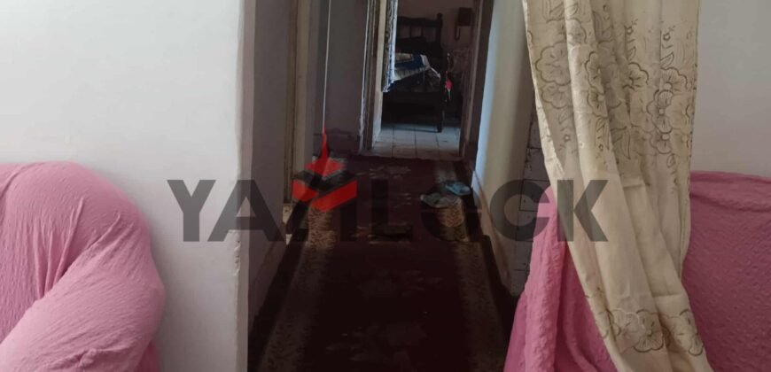 شقه للبيع في السيوف الاسكندريه 150م شقه للبيع في السيوف الاسكندريه 150م