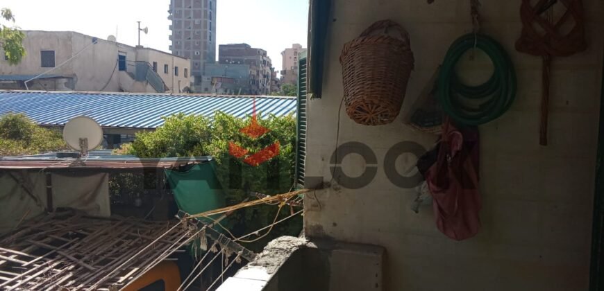 شقه للبيع في السيوف الاسكندريه 150م شقه للبيع في السيوف الاسكندريه 150م