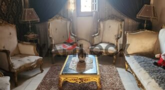 دوبلكس للبيع في منطقه توريل الجديده 200معاهم نص الروف المنصوره دوبلكس للبيع في منطقه توريل الجديده 200معاهم نص الروف المنصوره