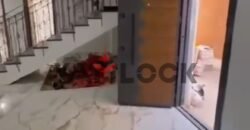 دوبليكس للبيع بيزمنت و ارضى فى مدينه بدر بوابه رقم 1 الكترونيه دوبليكس للبيع بيزمنت و ارضى فى مدينه بدر بوابه رقم 1 الكترونيه