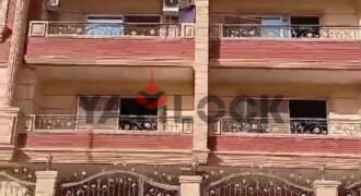 شقه للايجار منطقه باللوتس الجنوبيه المنطقه ال11 عماره 87 شقه للايجار منطقه باللوتس الجنوبيه المنطقه ال11 عماره 87