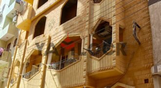 عماره للبيع خلف فيلا المحافظ – الفيوم عماره للبيع خلف فيلا المحافظ – الفيوم