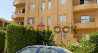 دوبلكس للبيع ارضى و اول فى المنطقه الاولى المجاورة الاولى قطعة 39 مدينه الشروق دوبلكس للبيع ارضى و اول فى المنطقه الاولى المجاورة الاولى قطعة 39 مدينه الشروق