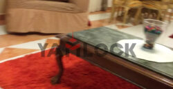 شقه للبيع فى شارع شاهين العجوزه خلف مستشفي الشرطه