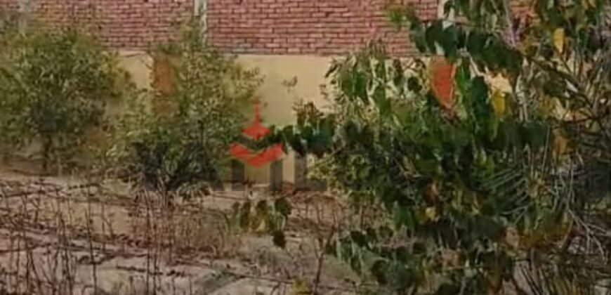 مزرعة للبيع تلت فدان فى داخل كمبوند مزارع السعيد على طريق الإسماعيلية الصحراوي