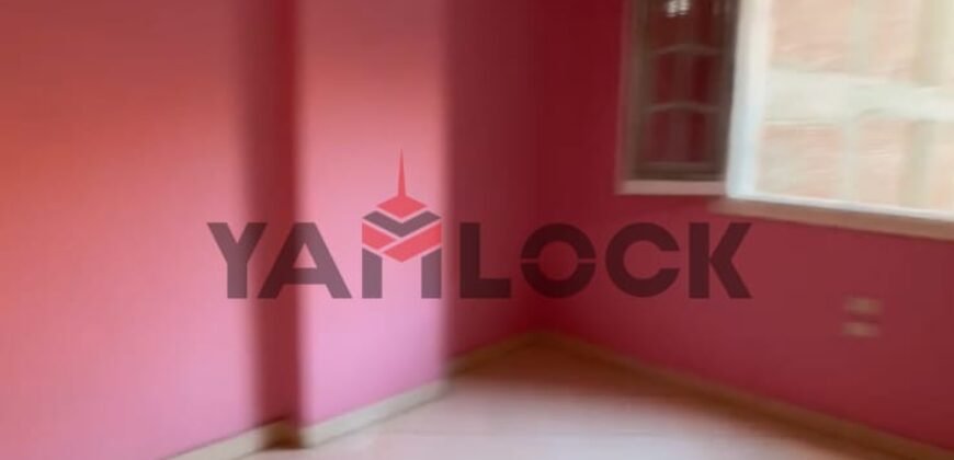 شقه للبيع فى شارع القدس متفرع من شارع الخمسين متفرع من شارع المعهد الازهري النزهه الجديده شقه للبيع فى شارع القدس متفرع من شارع الخمسين متفرع من شارع المعهد الازهري النزهه الجديده