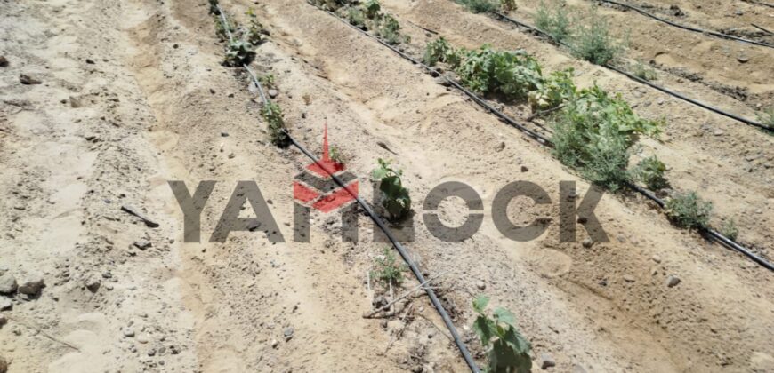 مزرعه للبيع فى العزيزية الفيوم