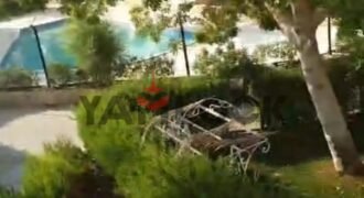 شاليه للبيع في لاسيرنا ريد كاربت بالفرش والاجهزة والمكيفات شاليه للبيع في لاسيرنا ريد كاربت بالفرش والاجهزة والمكيفات