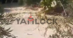 مزراعه للبيع فى جلبانه علي محطه 16 اراضي 15 فدان مزراعه للبيع فى جلبانه علي محطه 16 اراضي 15 فدان