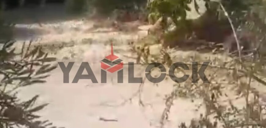 مزراعه للبيع فى جلبانه علي محطه 16 اراضي 15 فدان