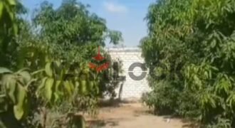 مزراعه للبيع فى جلبانه علي محطه 16 اراضي 15 فدان مزراعه للبيع فى جلبانه علي محطه 16 اراضي 15 فدان