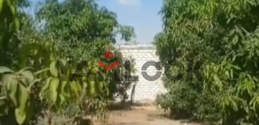 مزراعه للبيع فى جلبانه علي محطه 16 اراضي 15 فدان