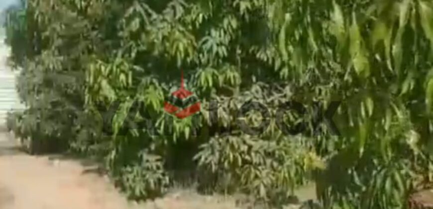 مزراعه للبيع فى جلبانه علي محطه 16 اراضي 15 فدان