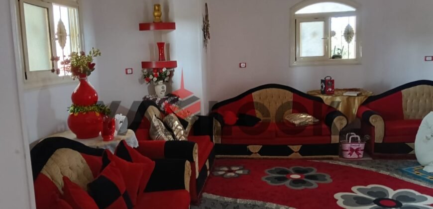 فيلا للبيع قريبه من نزله الإقليمى أشمون المنوفيه فيلا للبيع قريبه من نزله الإقليمى أشمون المنوفيه