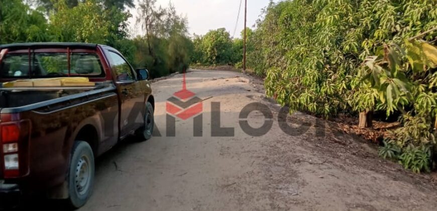 مزرعه للايجار 11فدان فى الصالحيه الجديده ترعه الكساره