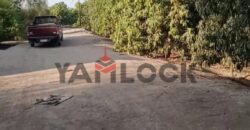 مزرعه للايجار 11فدان فى الصالحيه الجديده ترعه الكساره