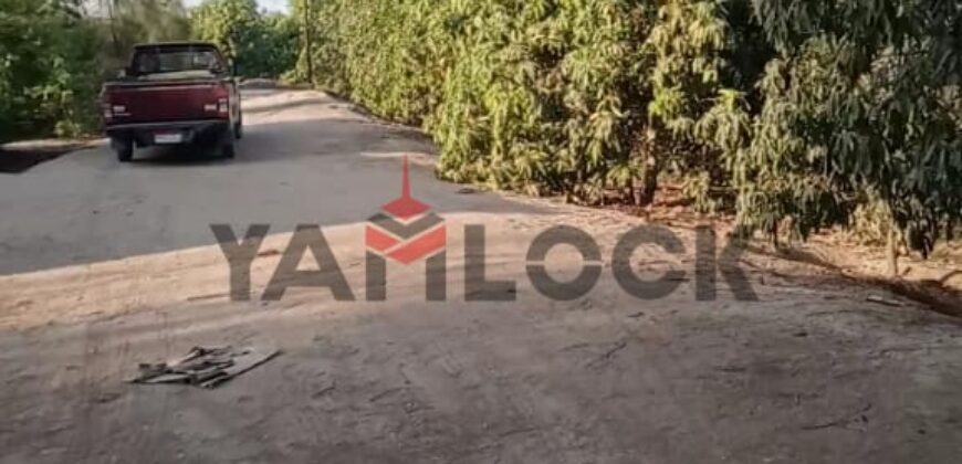 مزرعه للايجار 11فدان فى الصالحيه الجديده ترعه الكساره