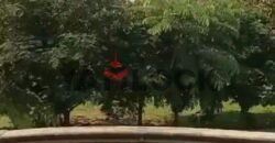 شقة للايجار بداخل فيلا226 الياسمين 2 التجمع الاول شقة للايجار بداخل فيلا226 الياسمين 2 التجمع الاول