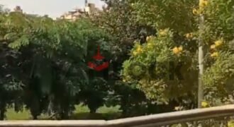 شقة للايجار بداخل فيلا226 الياسمين 2 التجمع الاول