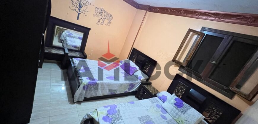 شقه مفروشه للبيع في منطقه العاشر مدينه نصر شقه مفروشه للبيع في منطقه العاشر مدينه نصر