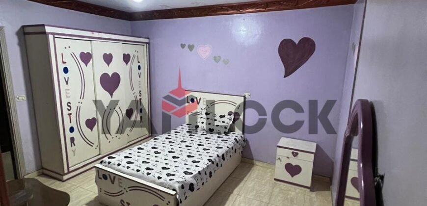 شقه مفروشه للبيع في منطقه العاشر مدينه نصر شقه مفروشه للبيع في منطقه العاشر مدينه نصر