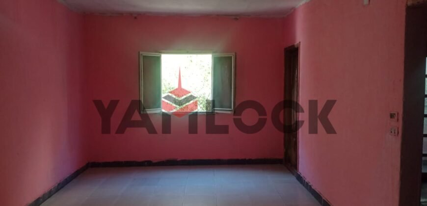 شقه للبيع فى المجاوره السادسه عماره 19 ب شقه 5 التجمع الاول شقه للبيع فى المجاوره السادسه عماره 19 ب شقه 5 التجمع الاول