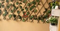 شقه للبيع فى شارع احمد رمزي كساب مصر الجديده شقه للبيع فى شارع احمد رمزي كساب مصر الجديده