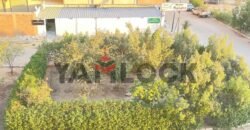 شقه للبيع فى اكتوبر الحي الثالث مجاورة 7 ع محور الكفراوي عماره ناصية رقم 1629 شقه للبيع فى اكتوبر الحي الثالث مجاورة 7 ع محور الكفراوي عماره ناصية رقم 1629