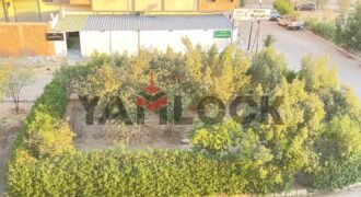 شقه للبيع فى اكتوبر الحي الثالث مجاورة 7 ع محور الكفراوي عماره ناصية رقم 1629