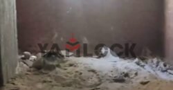 شقة للبيع في شارع ثابت خلف فندق اجياد اسيوط شقة للبيع في شارع ثابت خلف فندق اجياد اسيوط