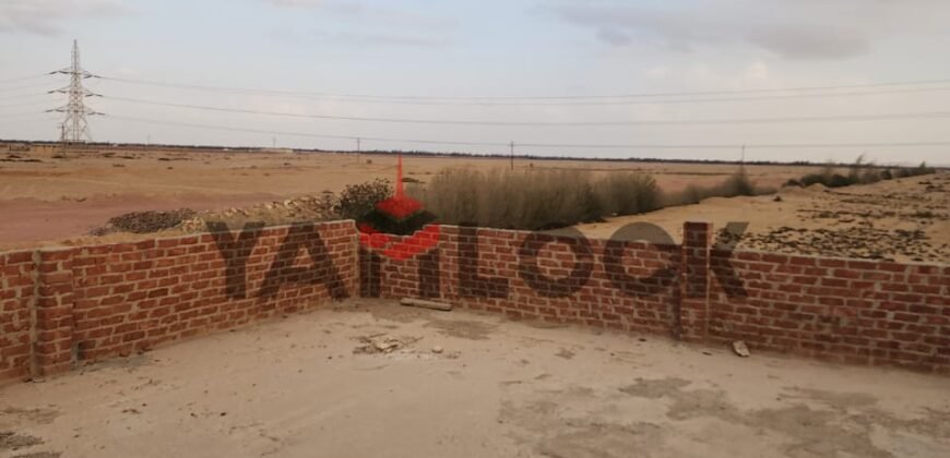 مخازن للبيع في العاشر من رمضان اخر التالته الصناعيه في اتجاه الإسماعيلية اول نمره على طريق مخازن للبيع في العاشر من رمضان اخر التالته الصناعيه في اتجاه الإسماعيلية اول نمره على طريق