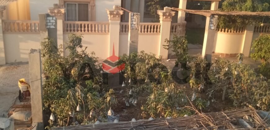 مزرعه للبيع فى وادى الملاك اسماعيله مزرعه للبيع فى وادى الملاك اسماعيله