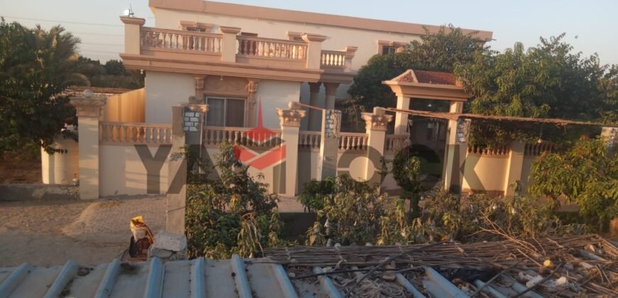 مزرعه للبيع فى وادى الملاك اسماعيله مزرعه للبيع فى وادى الملاك اسماعيله