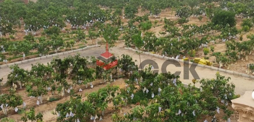 مزرعه للبيع فى وادى الملاك اسماعيله مزرعه للبيع فى وادى الملاك اسماعيله