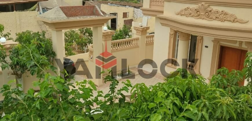 مزرعه للبيع فى وادى الملاك اسماعيله مزرعه للبيع فى وادى الملاك اسماعيله