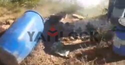 مزرعه للبيع فى برج العرب المهندسين مزرعه للبيع فى برج العرب المهندسين