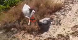 مزرعه للبيع فى برج العرب المهندسين مزرعه للبيع فى برج العرب المهندسين