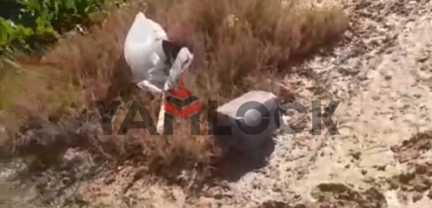 مزرعه للبيع فى برج العرب المهندسين مزرعه للبيع فى برج العرب المهندسين