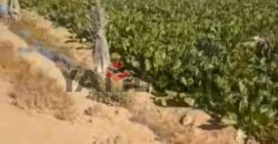 مزرعه للبيع فى برج العرب المهندسين مزرعه للبيع فى برج العرب المهندسين