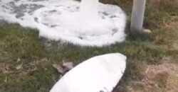 مزرعه للبيع فى برج العرب المهندسين مزرعه للبيع فى برج العرب المهندسين