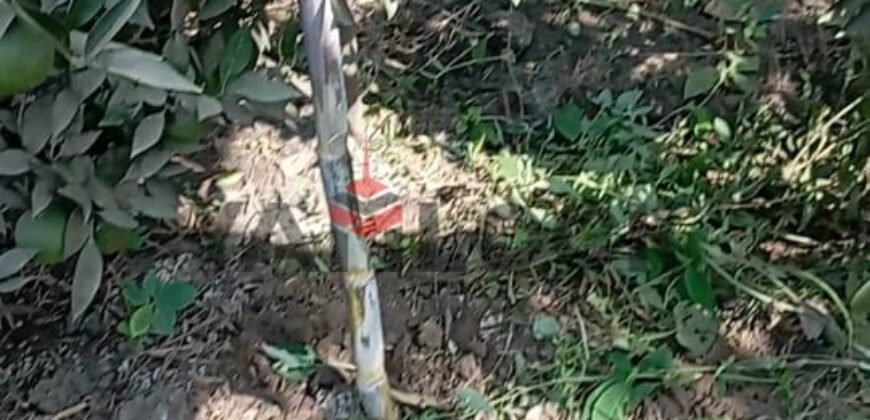 ارض زراعة للبيع في محافظة القليوبية مركز بنها قرية ساحل دجوى عزبة الصواف ارض زراعة للبيع في محافظة القليوبية مركز بنها قرية ساحل دجوى عزبة الصواف