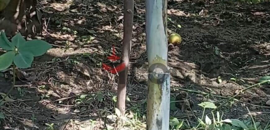 ارض زراعة للبيع في محافظة القليوبية مركز بنها قرية ساحل دجوى عزبة الصواف ارض زراعة للبيع في محافظة القليوبية مركز بنها قرية ساحل دجوى عزبة الصواف